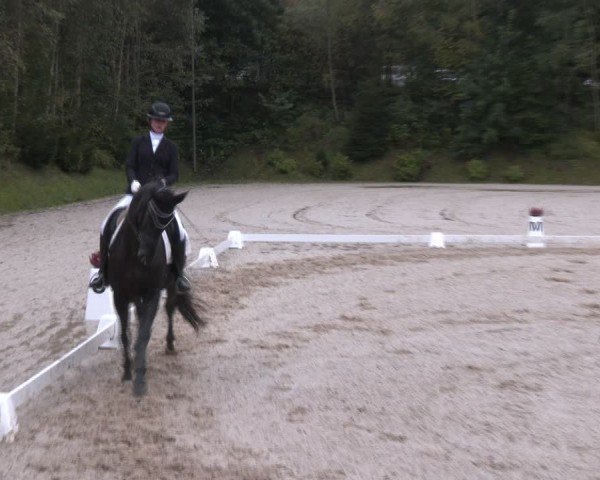 Reitturnier Igls 2024