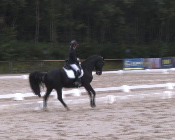 Reitturnier Igls 2024