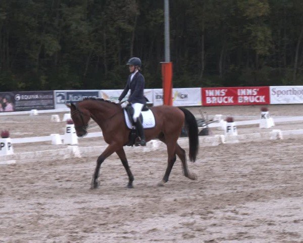 Reitturnier Igls 2024