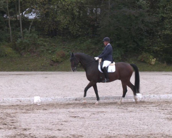 Reitturnier Igls 2024
