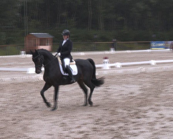 Reitturnier Igls 2024