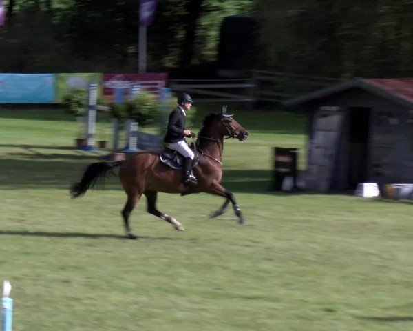 Reitturnier Scharnebeck 2024