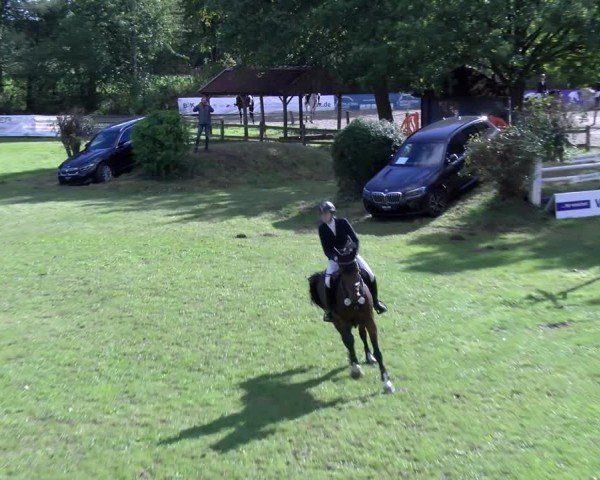 Reitturnier Scharnebeck 2024