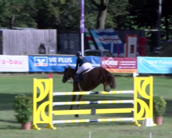 Reitturnier Scharnebeck 2024