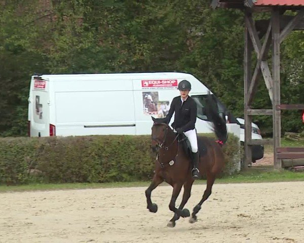 Reitturnier Frankenhof-Sonnefeld/Ofr. 2024