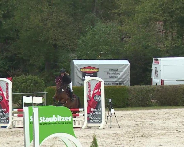 Reitturnier Frankenhof-Sonnefeld/Ofr. 2024
