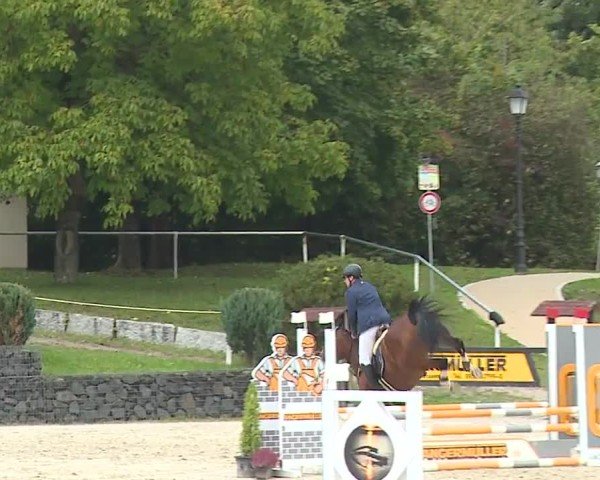 Reitturnier Frankenhof-Sonnefeld/Ofr. 2024