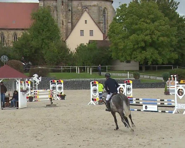 Reitturnier Frankenhof-Sonnefeld/Ofr. 2024