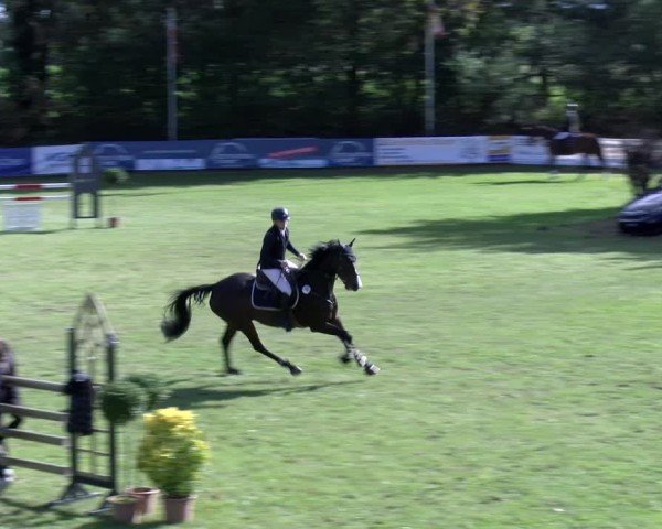 Reitturnier Scharnebeck 2024