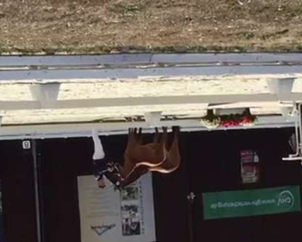 Video of Chocolat de Luxe