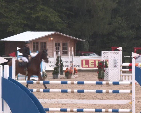 Reitturnier Ranshofen - Braunau am Inn 2024