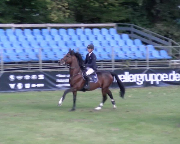Reitturnier Scharnebeck 2024