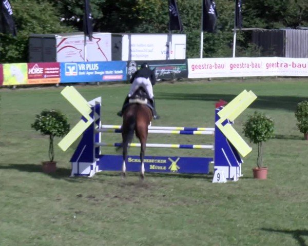 Reitturnier Scharnebeck 2024