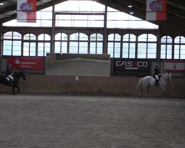 Reitturnier Elisenau 2024