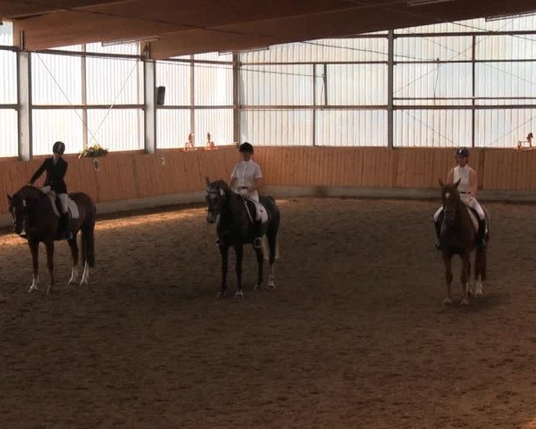 Großes Reit- und Springturnier 2013 des RuF