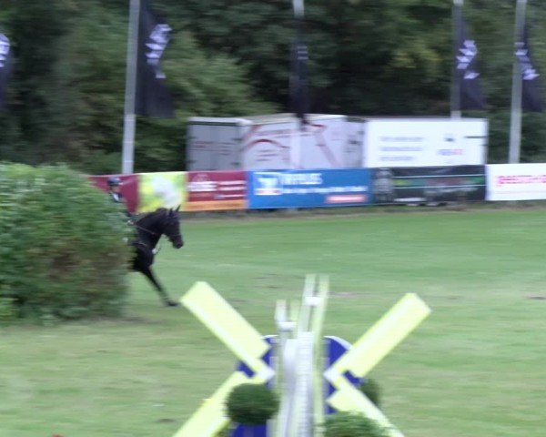 Reitturnier Scharnebeck 2024