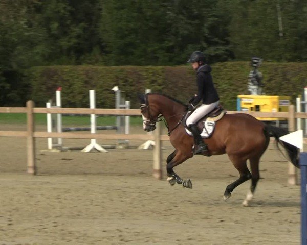 Reitturnier Kamen 2024