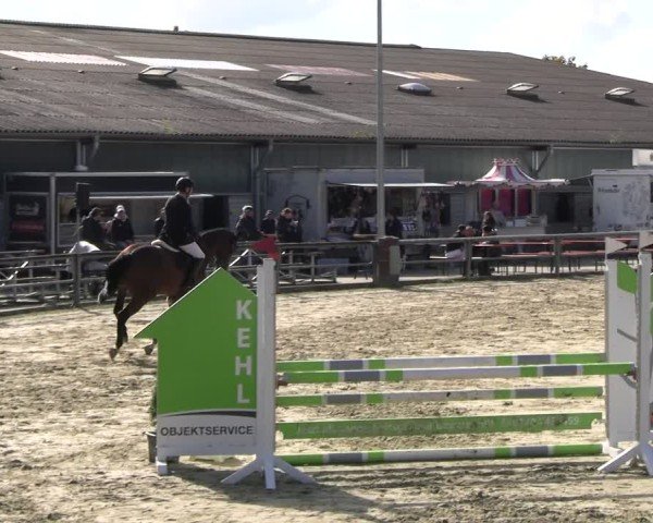 Reitturnier Kamen 2024