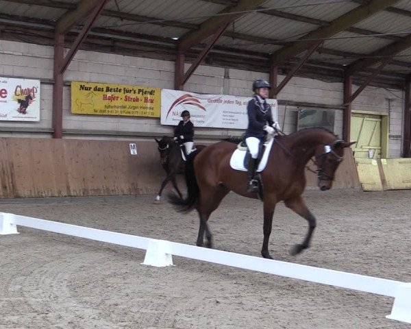 Reitturnier Elisenau 2024