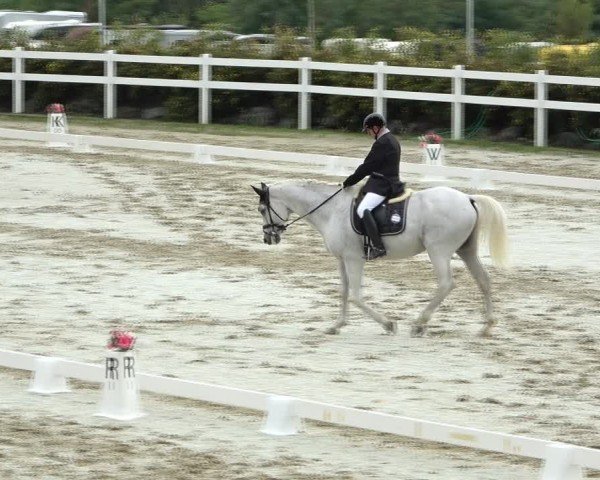 Reitturnier St. Margarethen 2024