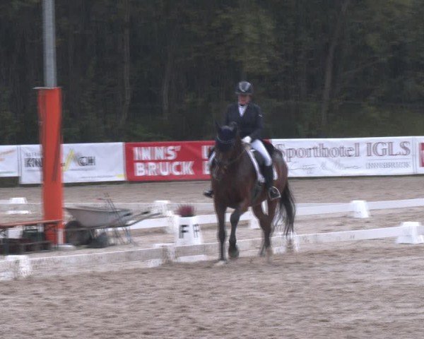 Reitturnier Igls 2024