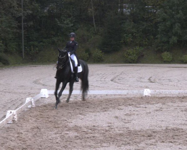 Reitturnier Igls 2024