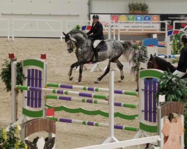 Reitturnier Borken 2024