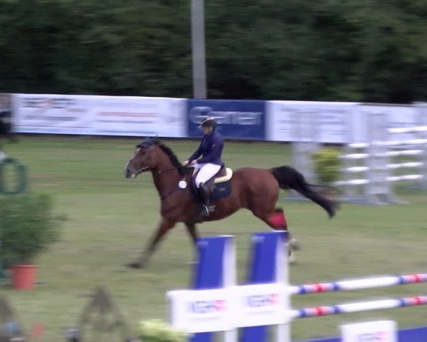 Reitturnier Scharnebeck 2024
