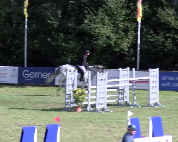 Reitturnier Scharnebeck 2024