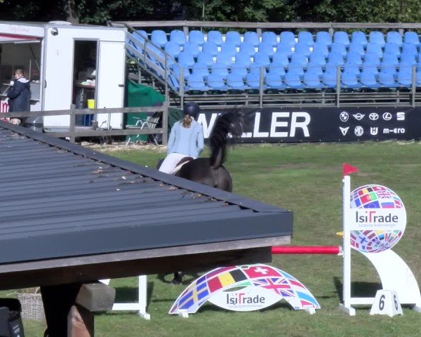 Reitturnier Scharnebeck 2024