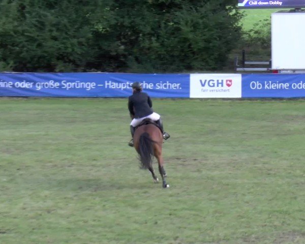 Reitturnier Scharnebeck 2024