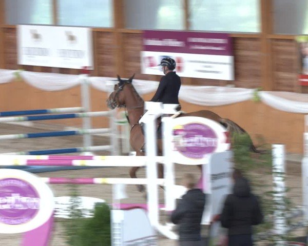 Reitturnier Xanten - Reitanlage Miss 2024