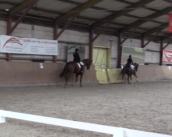 Reitturnier Elisenau 2024
