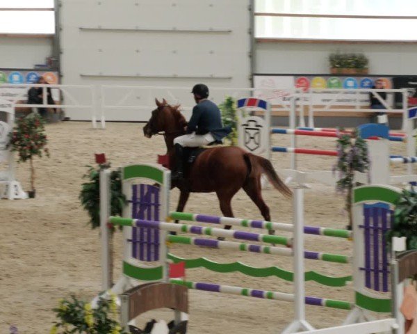 Reitturnier Borken 2024