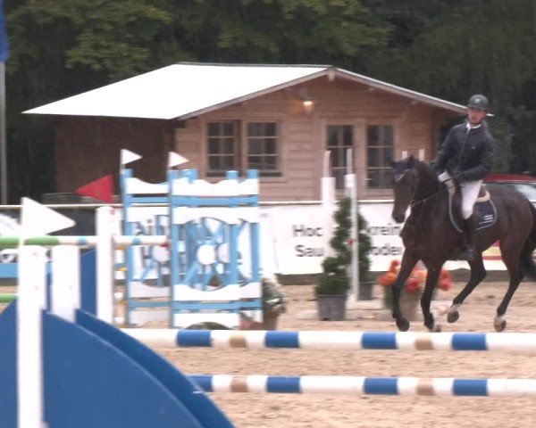 Reitturnier Ranshofen - Braunau am Inn 2024
