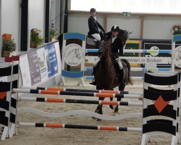 Reitturnier Borken 2024