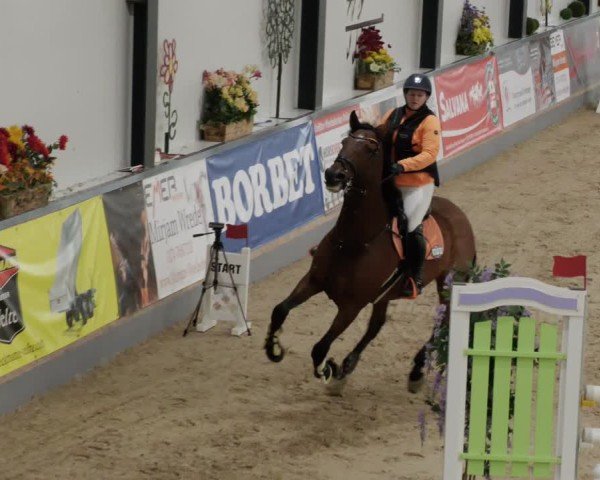 Reitturnier Borken 2024