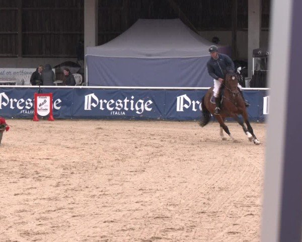 Reitturnier Ranshofen - Braunau am Inn 2024