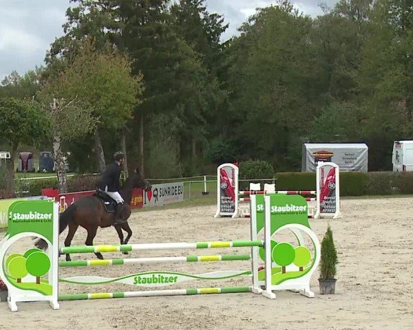 Reitturnier Frankenhof-Sonnefeld/Ofr. 2024