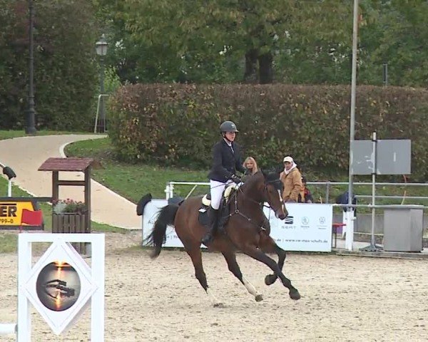 Reitturnier Frankenhof-Sonnefeld/Ofr. 2024