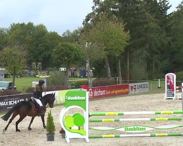 Reitturnier Frankenhof-Sonnefeld/Ofr. 2024