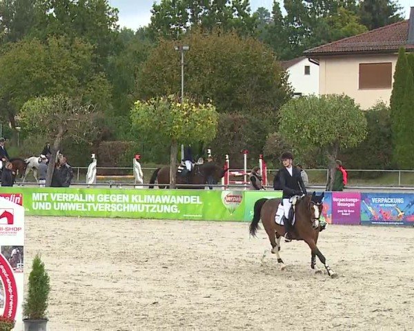 Reitturnier Frankenhof-Sonnefeld/Ofr. 2024