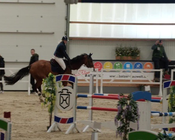 Reitturnier Borken 2024