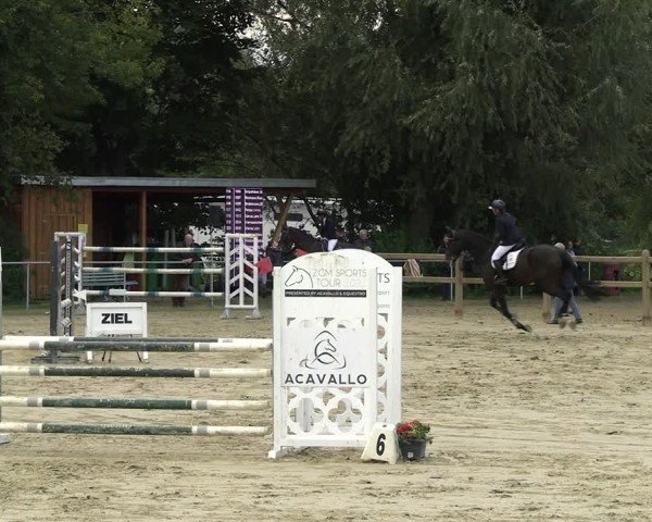 Reitturnier Kamen 2024