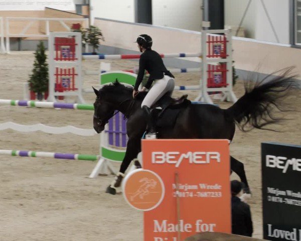 Reitturnier Borken 2024