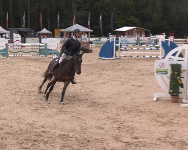 Reitturnier Ranshofen - Braunau am Inn 2024