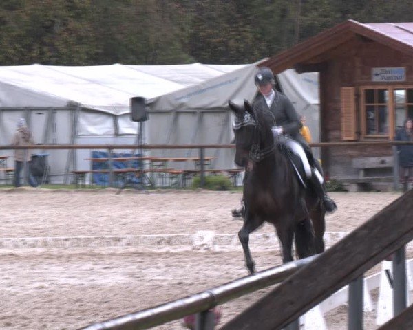 Reitturnier Igls 2024