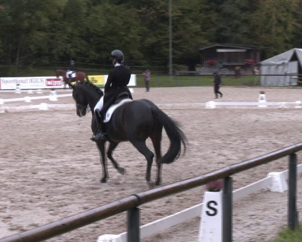 Reitturnier Igls 2024