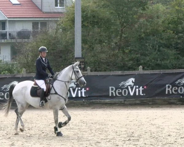 Pferdesporttage Neuendorf SO 2021