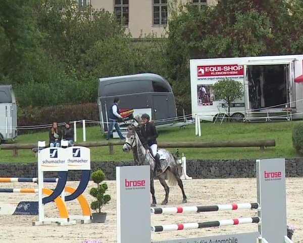 Reitturnier Frankenhof-Sonnefeld/Ofr. 2024